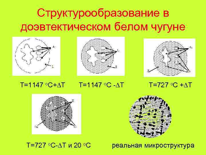 Структурообразование в доэвтектическом белом чугуне Т=1147 o. C+ T Т=1147 o. C - T