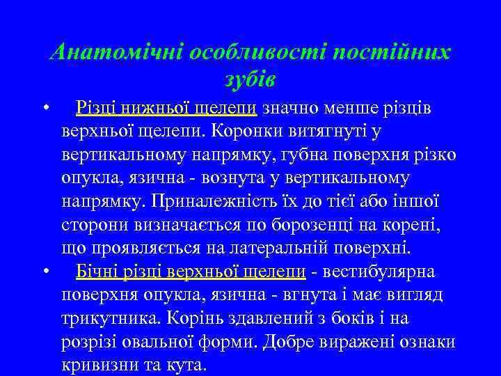 Анатомічні особливості постійних зубів • Різці нижньої щелепи значно менше різців верхньої щелепи. Коронки