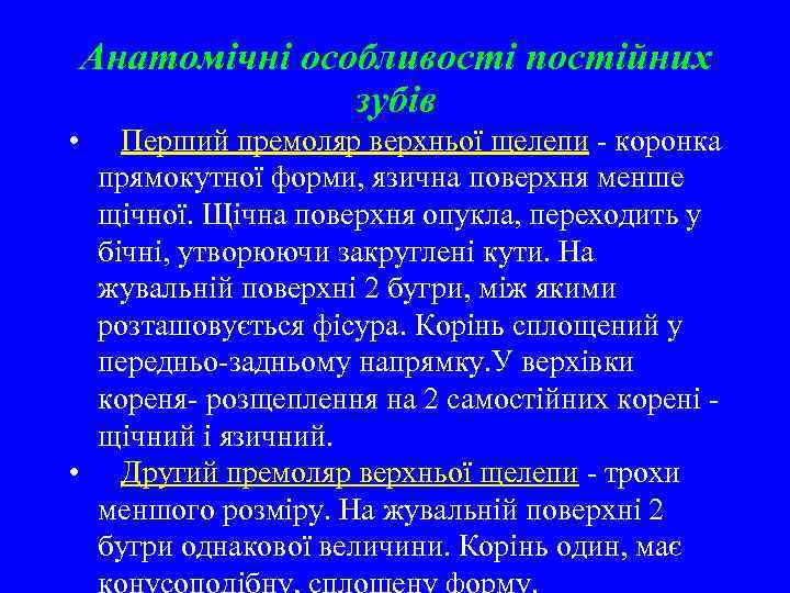 Анатомічні особливості постійних зубів • Перший премоляр верхньої щелепи - коронка прямокутної форми, язична