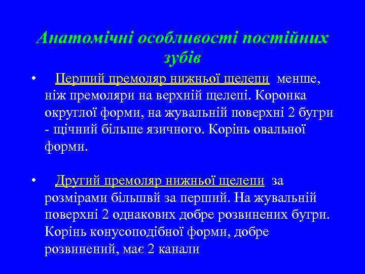 Анатомічні особливості постійних зубів • Перший премоляр нижньої щелепи менше, ніж премоляри на верхній