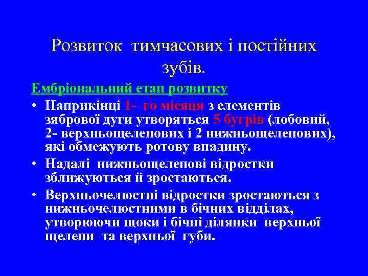 Розвиток тимчасових і постійних зубів. Ембріональний етап розвитку • Наприкінці 1 - го місяця