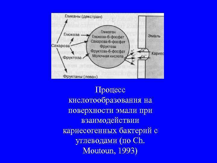 Процесс кислотообразования на поверхности эмали при взаимодействии кариесогенных бактерий с углеводами (по Ch. Moutoun,