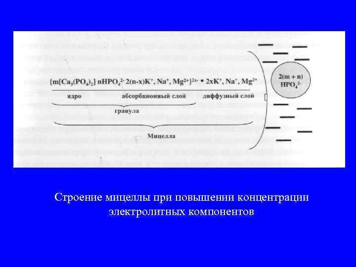 Строение мицеллы при повышении концентрации электролитных компонентов 