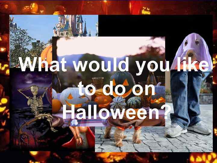What would you like to do on Halloween? 
