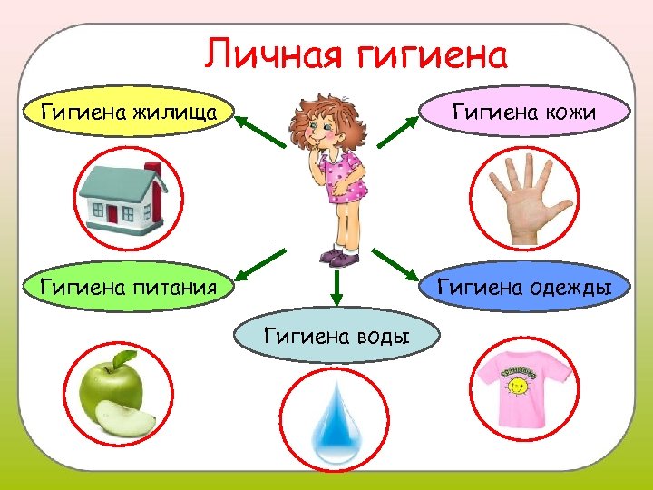 Личная гигиена Гигиена жилища Гигиена кожи Гигиена питания Гигиена одежды Гигиена воды 