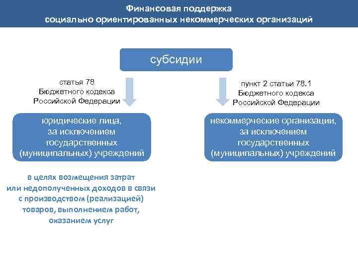 Финансовая поддержка социально ориентированных некоммерческих организаций субсидии статья 78 Бюджетного кодекса Российской Федерации юридические