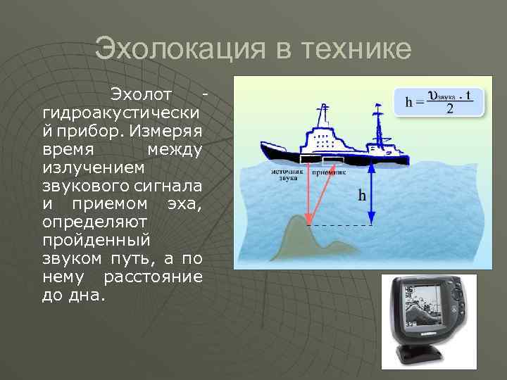 Эхолокация в технике Эхолот гидроакустически й прибор. Измеряя время между излучением звукового сигнала и