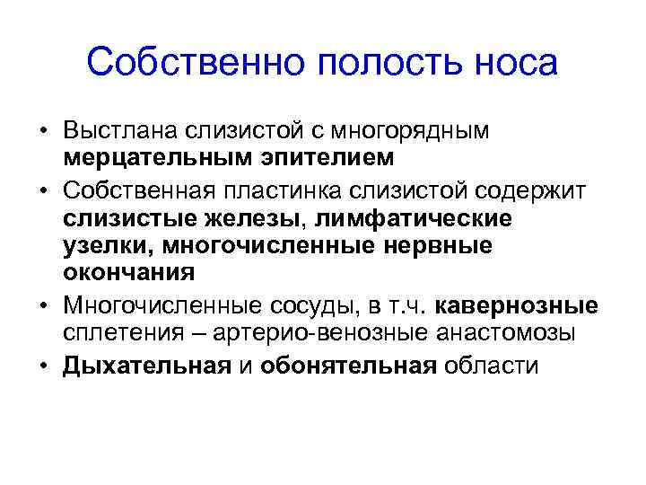 Собственно полость носа • Выстлана слизистой с многорядным мерцательным эпителием • Собственная пластинка слизистой