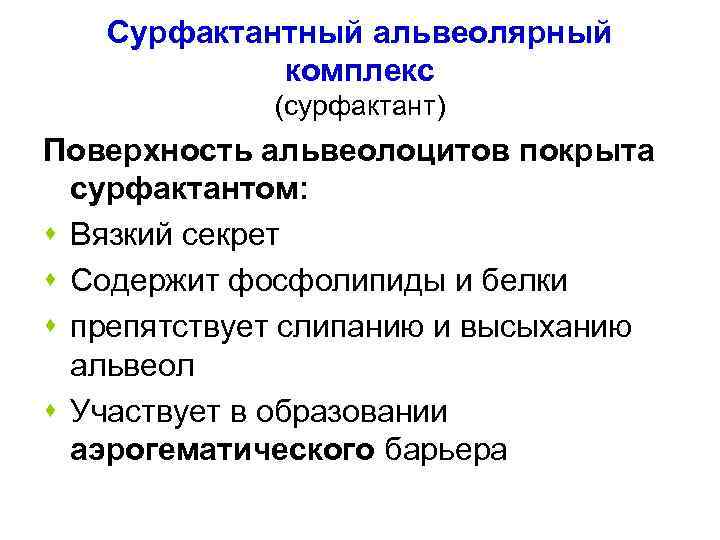 Сурфактантный альвеолярный комплекс (сурфактант) Поверхность альвеолоцитов покрыта сурфактантом: s Вязкий секрет s Содержит фосфолипиды