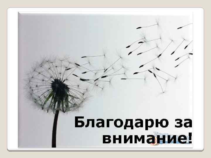 Благодарю за внимание! 