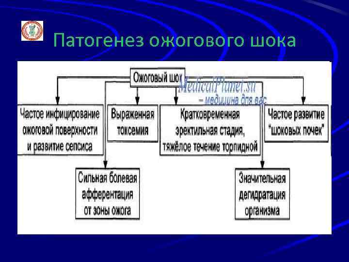 Патогенез ожогового шока 