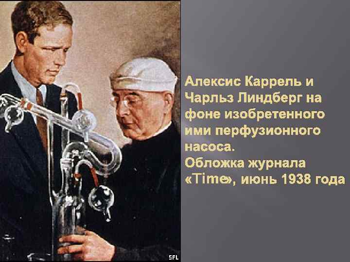 Алексис Каррель и Чарльз Линдберг на фоне изобретенного ими перфузионного насоса. Обложка журнала «Time»