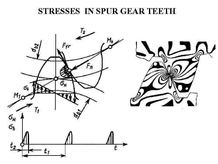 STRESSES IN SPUR GEAR TEETH 