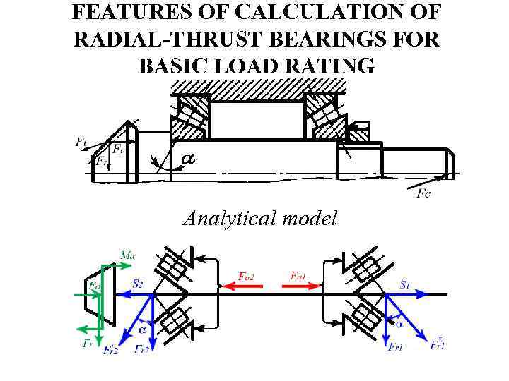 FEATURES OF CALCULATION OF RADIAL-THRUST BEARINGS FOR BASIC LOAD RATING Analytical model 