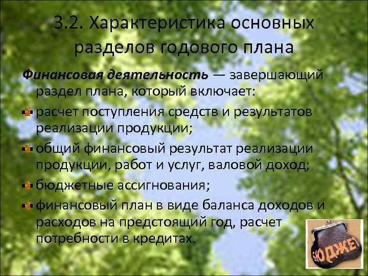 3. 2. Характеристика основных разделов годового плана Финансовая деятельность — завершающий раздел плана, который