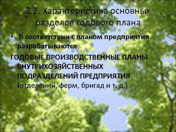 3. 2. Характеристика основных разделов годового плана • В соответствии с планом предприятия разрабатываются