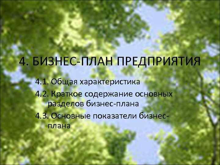 4. БИЗНЕС ПЛАН ПРЕДПРИЯТИЯ 4. 1. Общая характеристика 4. 2. Краткое содержание основных разделов