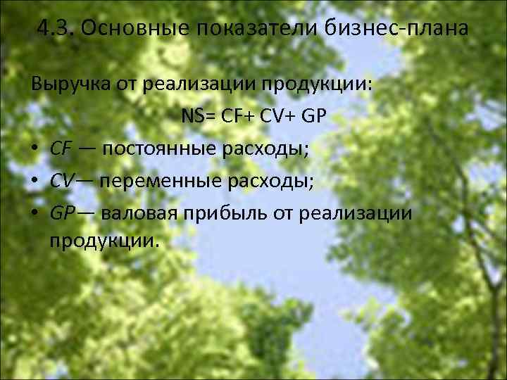 4. 3. Основные показатели бизнес плана Выручка от реализации продукции: NS= CF+ CV+ GP