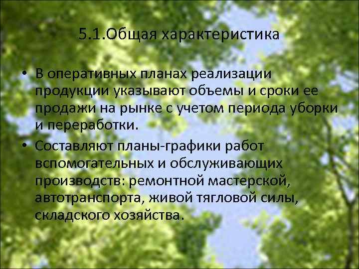 5. 1. Общая характеристика • В оперативных планах реализации продукции указывают объемы и сроки