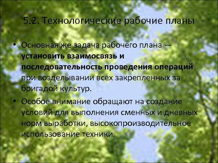 5. 2. Технологические рабочие планы • Основная же задача рабочего плана — установить взаимосвязь