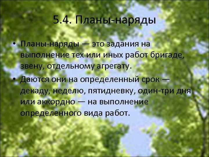 5. 4. Планы наряды • Планы наряды — это задания на выполнение тех или