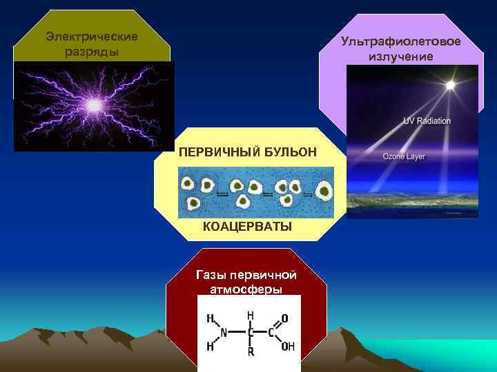 Первичный бульон