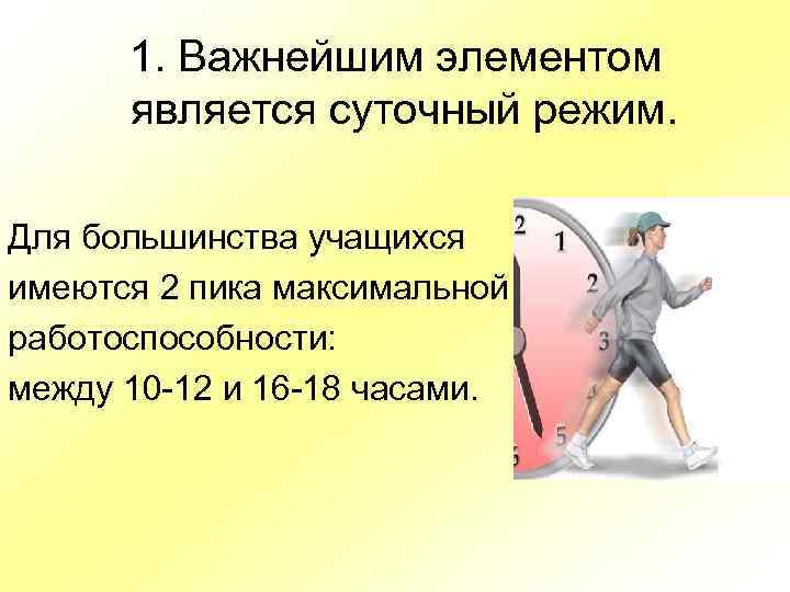 1. Важнейшим элементом является суточный режим. Для большинства учащихся имеются 2 пика максимальной работоспособности: