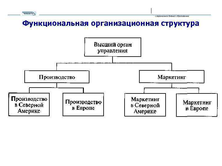 современное бизнес-образование Функциональная организационная структура 