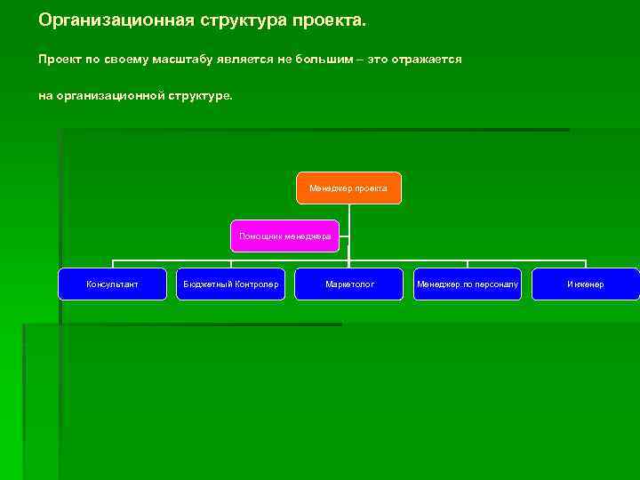 Организационная структура проекта. Проект по своему масштабу является не большим – это отражается на