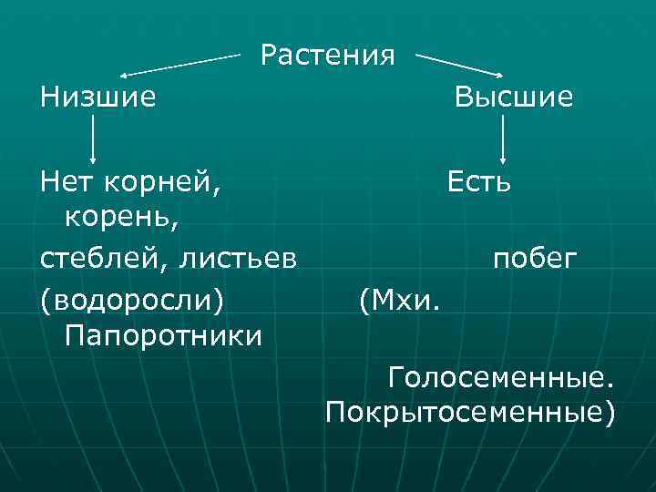 Растения Низшие Высшие Нет корней, корень, стеблей, листьев (водоросли) Папоротники Есть побег (Мхи. Голосеменные.