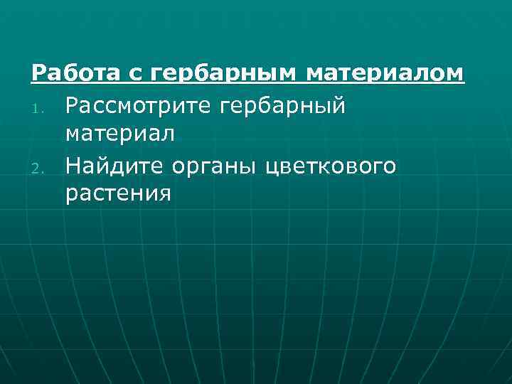 Работа с гербарным материалом 1. Рассмотрите гербарный материал 2. Найдите органы цветкового растения 