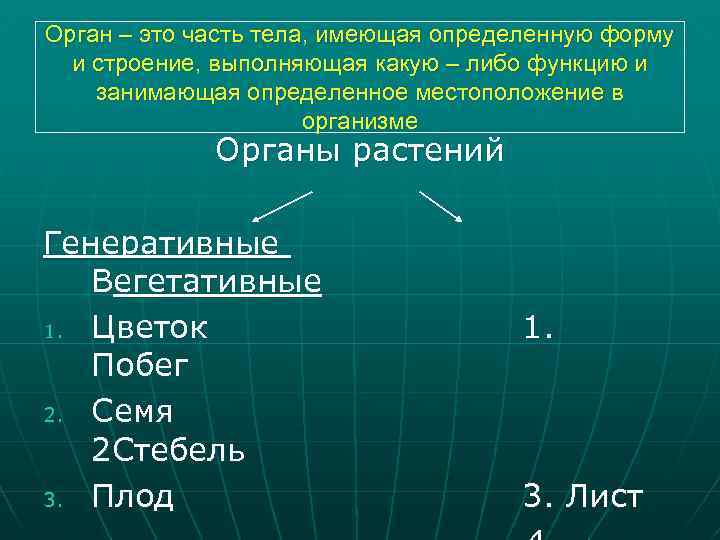 Орган – это часть тела, имеющая определенную форму и строение, выполняющая какую – либо