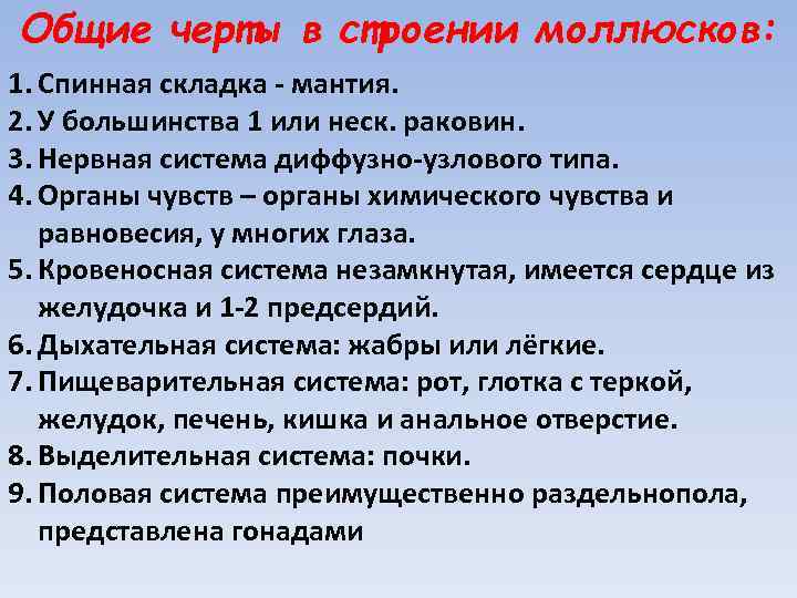 Общие черты в строении моллюсков: 1. Спинная складка - мантия. 2. У большинства 1