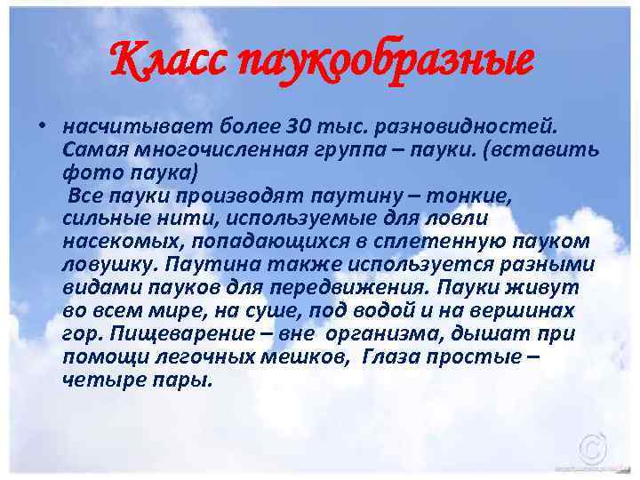 Класс паукообразные • насчитывает более 30 тыс. разновидностей. Самая многочисленная группа – пауки. (вставить