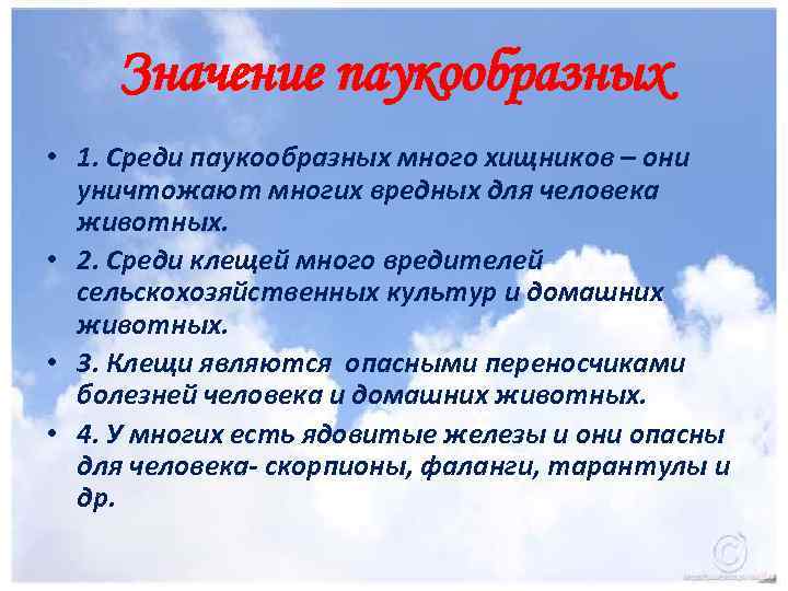 Значение паукообразных • 1. Среди паукообразных много хищников – они уничтожают многих вредных для