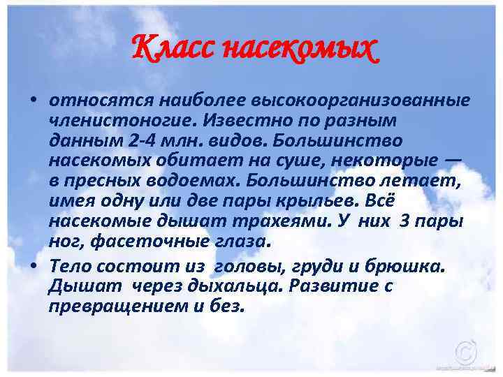 Класс насекомых • относятся наиболее высокоорганизованные членистоногие. Известно по разным данным 2 -4 млн.