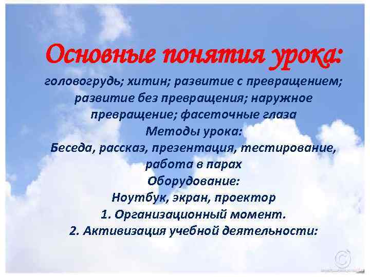 Основные понятия урока: головогрудь; хитин; развитие с превращением; развитие без превращения; наружное превращение; фасеточные