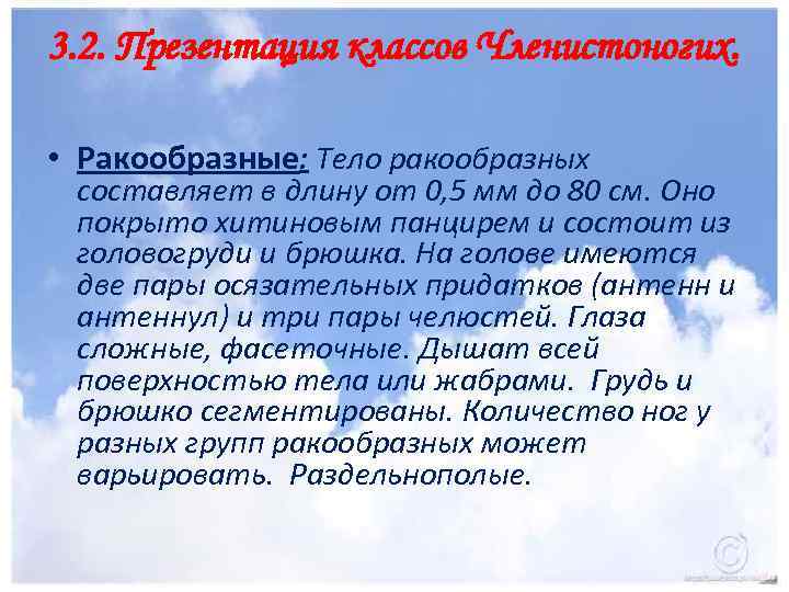 3. 2. Презентация классов Членистоногих. • Ракообразные: Тело ракообразных составляет в длину от 0,