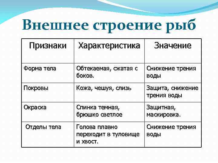 Внешнее строение рыб Признаки Характеристика Значение Форма тела Обтекаемая, сжатая с боков. Снижение трения