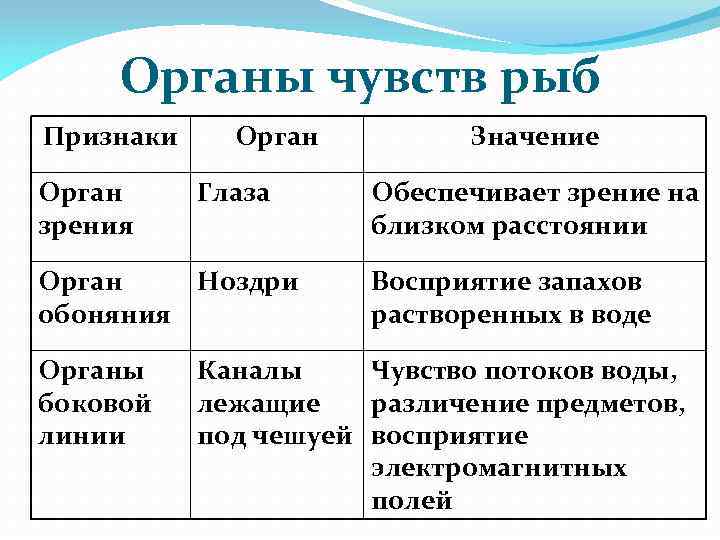 Органы чувств рыб Признаки Орган зрения Орган Глаза Орган Ноздри обоняния Органы боковой линии