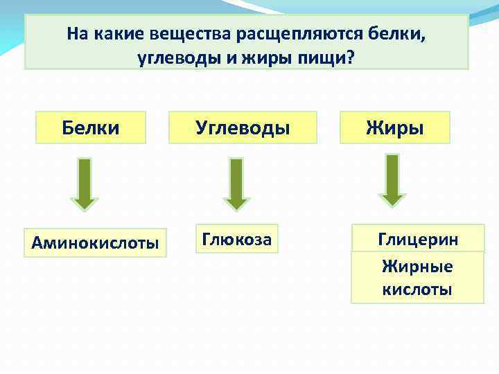 На какие вещества расщепляются белки, углеводы и жиры пищи? Белки Аминокислоты Углеводы Глюкоза Жиры