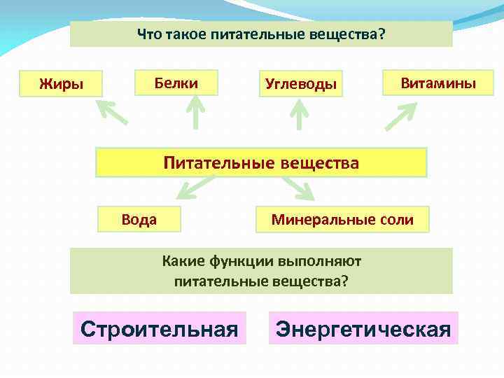 Что такое питательные вещества? Жиры Белки Углеводы Витамины Питательные вещества Вода Минеральные соли Какие