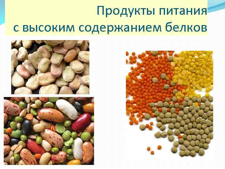 Продукты питания с высоким содержанием белков 
