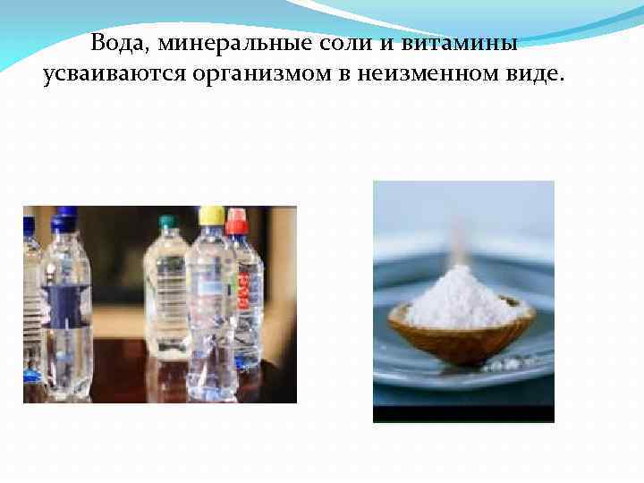 Вода, минеральные соли и витамины усваиваются организмом в неизменном виде. 