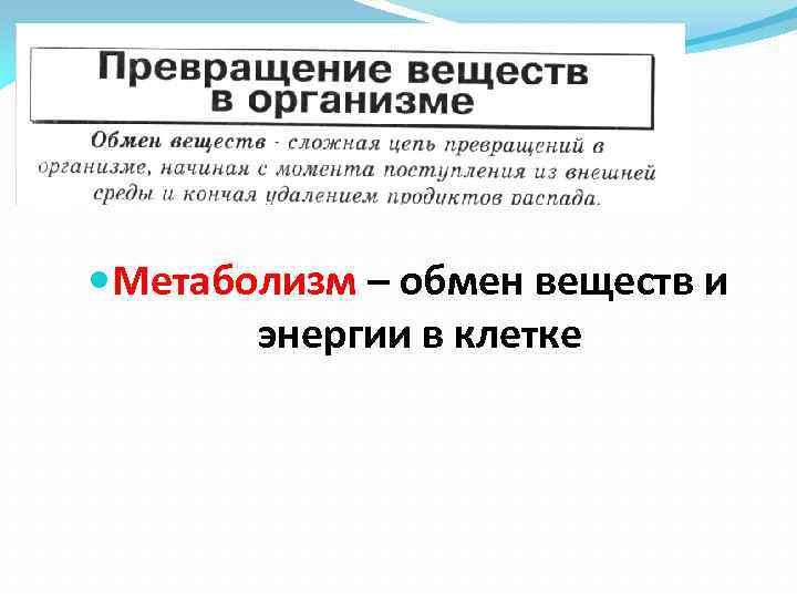  Метаболизм – обмен веществ и энергии в клетке 
