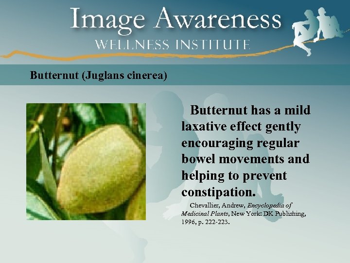 Butternut (Juglans cinerea) Butternut has a mild laxative effect gently encouraging regular bowel movements