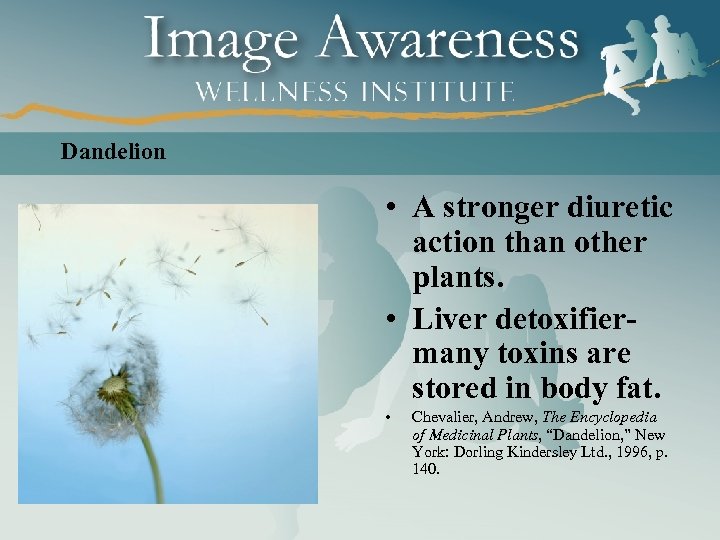 Dandelion • A stronger diuretic action than other plants. • Liver detoxifiermany toxins are