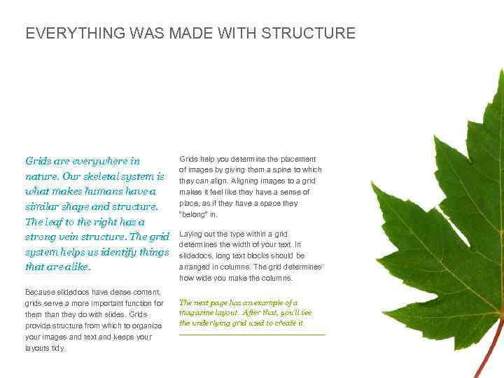 EVERYTHING WAS MADE WITH STRUCTURE Grids are everywhere in nature. Our skeletal system is