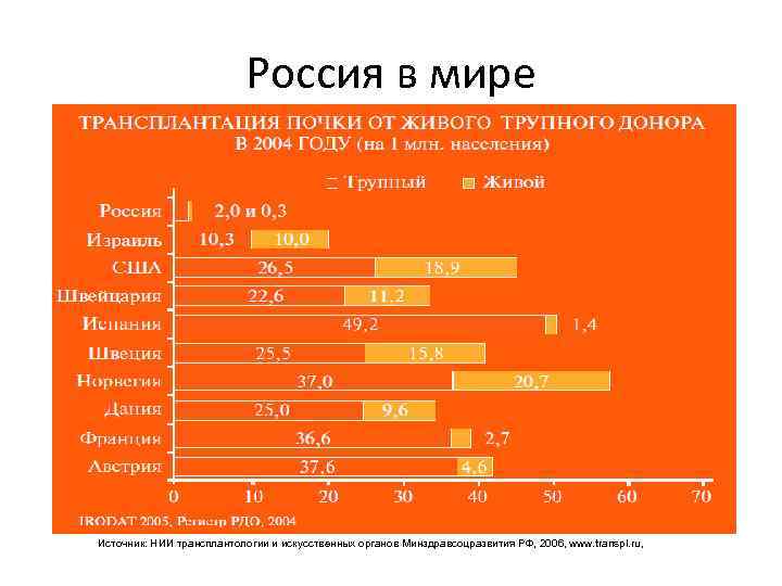 Россия в мире Источник: НИИ трансплантологии и искусственных органов Минздравсоцразвития РФ, 2006, www. transpl.