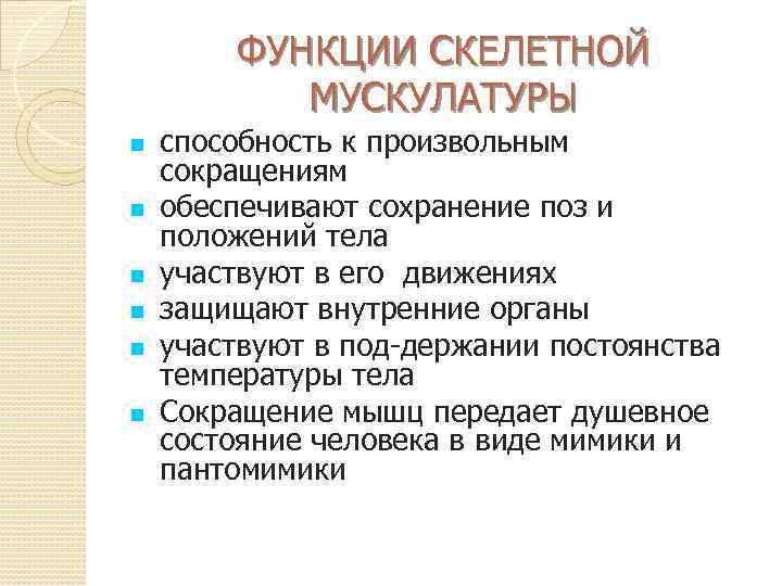 ФУНКЦИИ СКЕЛЕТНОЙ МУСКУЛАТУРЫ n n n способность к произвольным сокращениям обеспечивают сохранение поз и